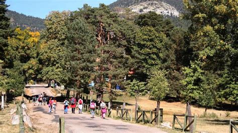 que hacer en cercedilla gratis|LAS MEJORES cosas que hacer gratis en Cercedilla